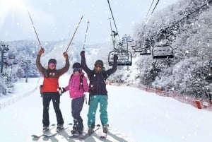 Cannesista tai Nizzasta: päivän hiihtoretki Alpeille