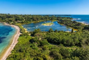 Von Cannes aus: Hin- und Rückfahrt mit der Fähre zur Insel Ste. Marguerite