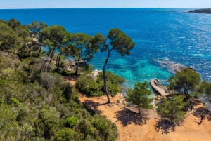 Vanuit Cannes: Veerboot naar Ste. Marguerite eiland