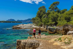 Von Cannes aus: Hin- und Rückfahrt mit der Fähre zur Insel Ste. Marguerite