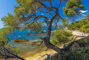 Vanuit Cannes: Veerboot naar Ste. Marguerite eiland