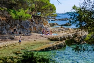 Fra Cannes: Færge tur-retur til øen Ste. Marguerite