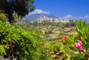 From Cannes: St Paul de Vence, Antibes & Wine Tasting Tour