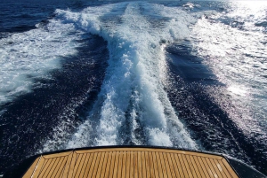 Da Cap Ferrat: crociera premium in Costa Azzurra con nuotata