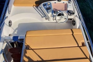 Da Cap Ferrat: crociera premium in Costa Azzurra con nuotata