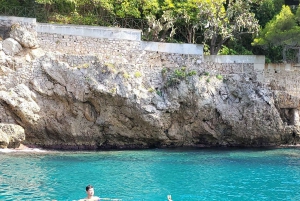 Da Cap Ferrat: crociera premium in Costa Azzurra con nuotata