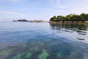 Da Cap Ferrat: crociera premium in Costa Azzurra con nuotata