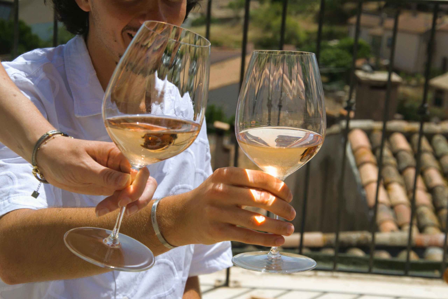 Fra Fréjus: Utflukt med varebil til hjertet av de provençalske vinmarkene