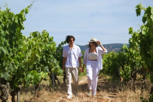 Fra Fréjus: Utflukt med varebil til hjertet av de provençalske vinmarkene