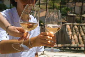 Fra Fréjus: Utflukt med varebil til hjertet av de provençalske vinmarkene