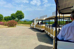 Gassin: Gassin and Ramatuelle Tourist Train