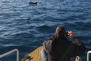 Ab Juan les Pins: Private Solarboot-Kreuzfahrt an der Côte d'Azur