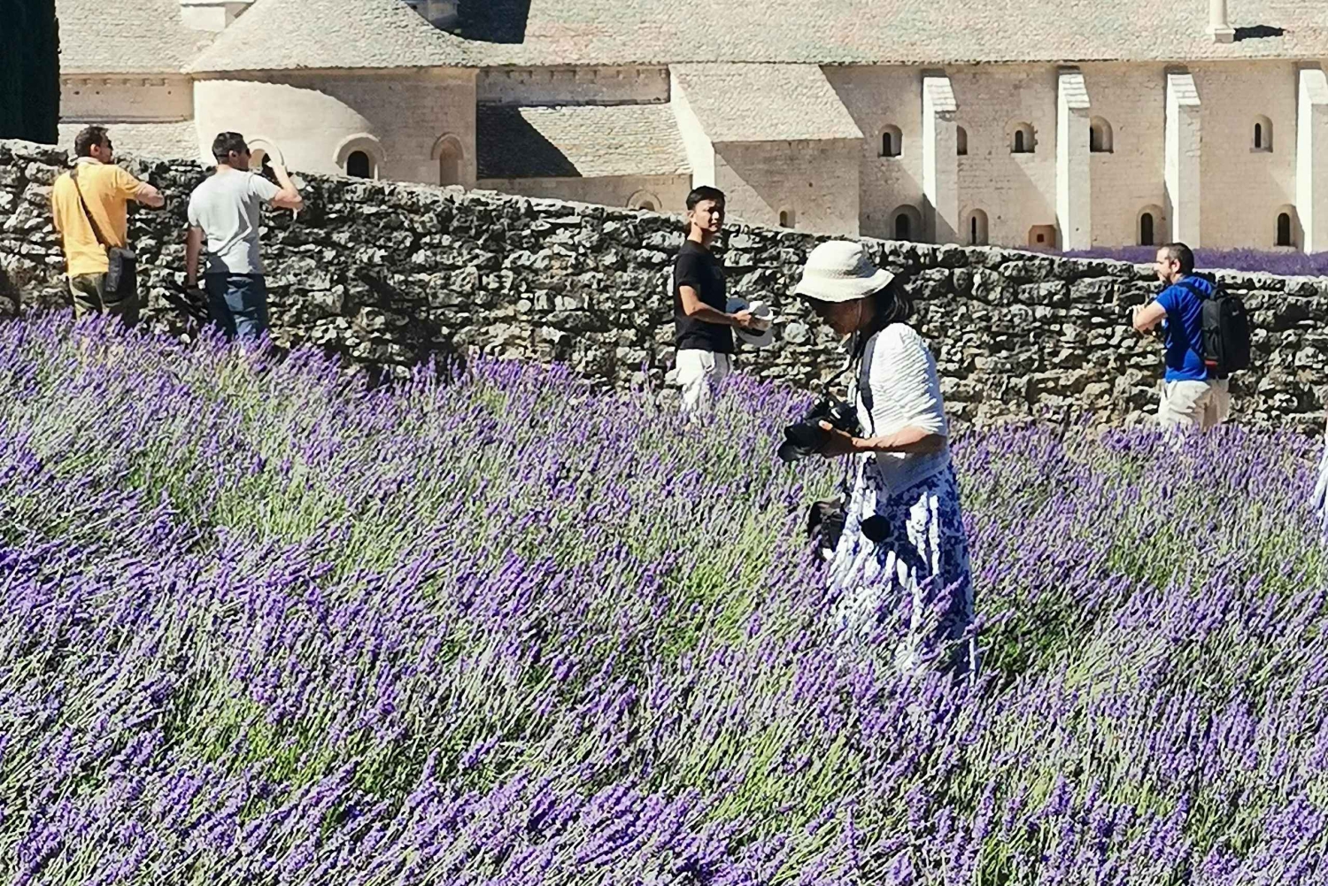 De Marselha: Tour particular personalizado de um dia pela Provença
