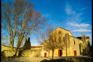 From Marseille: Customizable Private Day Tour of Provence