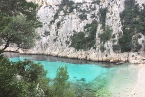 From Marseille: Customizable Private Day Tour of Provence