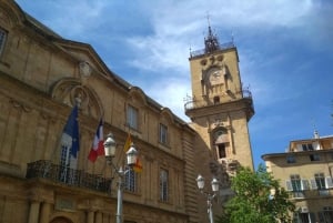 From Marseille: Customizable Private Day Tour of Provence