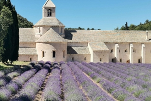 De Marselha: Tour particular personalizado de um dia pela Provença