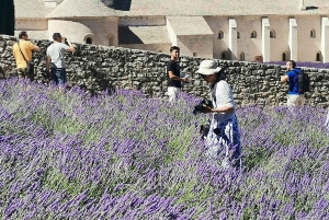 De Marselha: Tour particular personalizado de um dia pela Provença