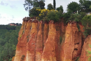 De Marselha: Tour particular personalizado de um dia pela Provença