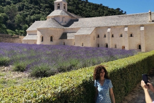 De Marselha: Tour particular personalizado de um dia pela Provença