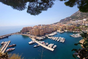 Au départ de Nice et d'Antibes : Monaco & Eze Tour avec prise en charge à l'hôtel