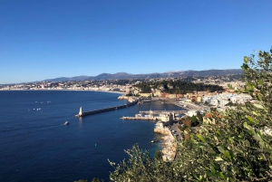 Da Nizza: tour di un giorno con il meglio della Riviera francese