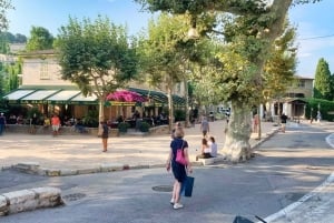 Vanuit Nice: Cannes, Saint Paul de Vence en wijnproeven