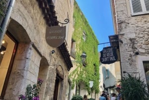 Vanuit Nice: Cannes, Saint Paul de Vence en wijnproeven