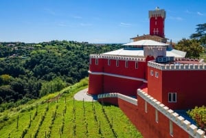 Vanuit Nice: Cannes, Saint Paul de Vence en wijnproeven