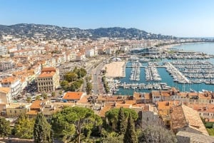 Desde Niza: Cannes, San Pablo de Vence y Cata de Vinos