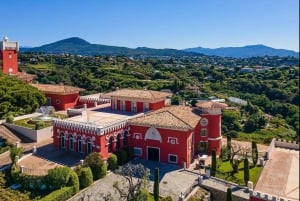 Desde Niza: Cannes, San Pablo de Vence y Cata de Vinos