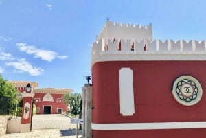 Desde Niza: Cannes, San Pablo de Vence y Cata de Vinos