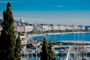 Da Nizza: Tour guidato di Cannes, Saint Paul de Vence e Antibes