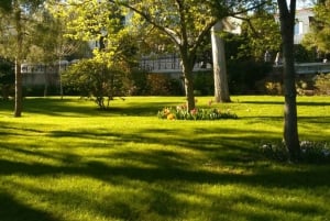 Из Ниццы: однодневная поездка в Монте-Карло и побережье Монако