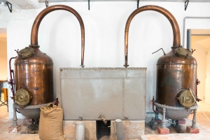 Vanuit Nice: Halve dagtrip naar Eze, Monaco en Monte Carlo