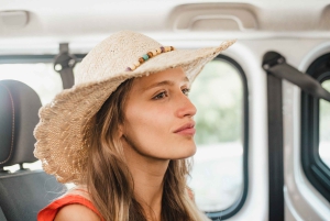 Vanuit Nice: Halve dagtrip naar Eze, Monaco en Monte Carlo