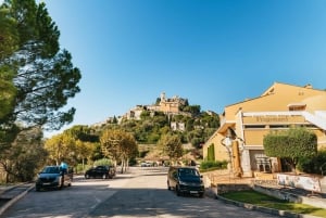 Z Nicei: Eze, Monako i półdniowa wycieczka do Monte Carlo