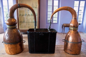 From Nice: Full-Day Best of the Riviera