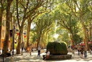 ニース発：プロヴァンスとラベンダーの一日ツアー