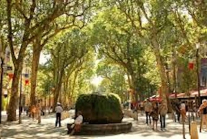 From Nice: Full-Day Provence and Lavender Tour