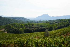 From Nice: Full-Day Small Group Provence Wine Tour