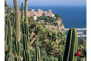 Desde Niza: Excursión de un día a Eze, Mónaco y Monte-Carlo
