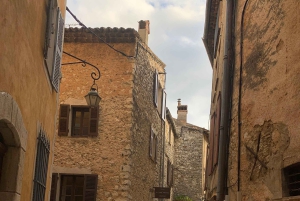Von Nizza oder Cannes aus: Countryside and Villages Private Tour