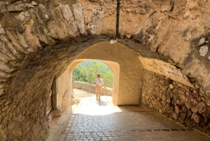 Von Nizza oder Cannes aus: Countryside and Villages Private Tour