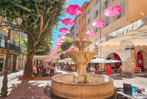 Из Ниццы или Канн: частная экскурсия с гидом в Грасс и Сен-Поль