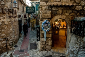 ニース港発 カスタマイズされたプライベートショアツアー