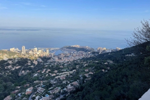 Vanuit Nice: Privétour met de auto door Monaco en de kustlijn