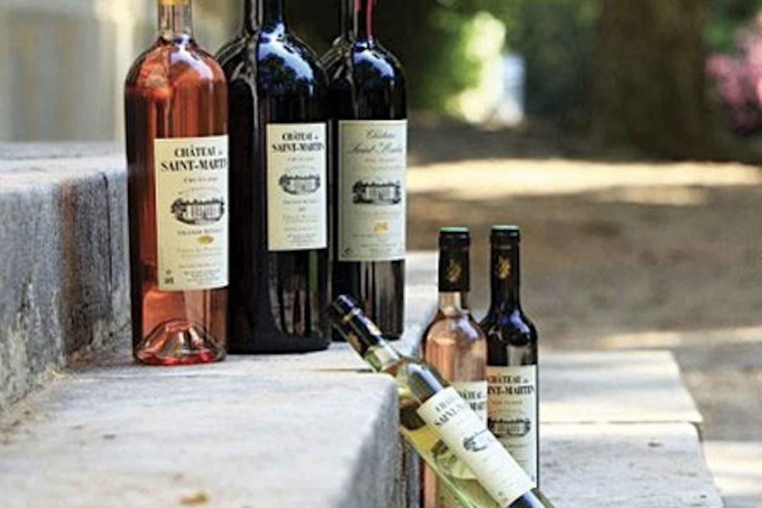 Private Provence Wine Tasting Experience