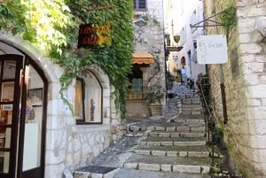 Desde Niza: Excursión de un día a la campiña provenzal y pueblos medievales