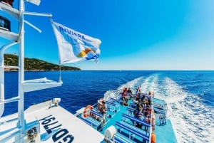 Desde Niza: transporte ida y vuelta a Saint Tropez en barco